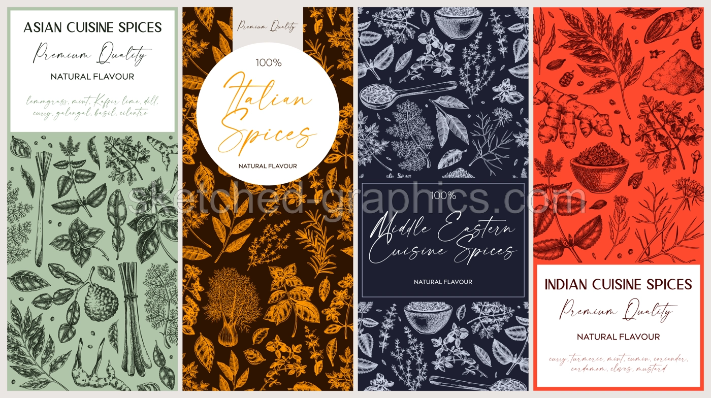Spice packaging designs set. Herbs and spices sketches. Hand-drawn vectot illustration. Vintage spice labels templates. NOT AI generated Illustration